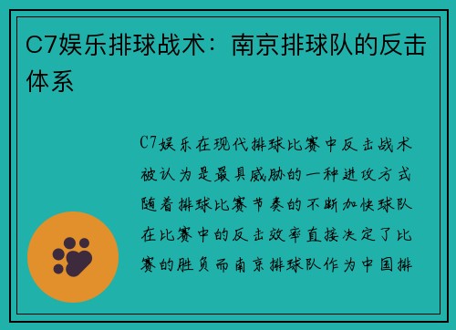 C7娱乐排球战术：南京排球队的反击体系